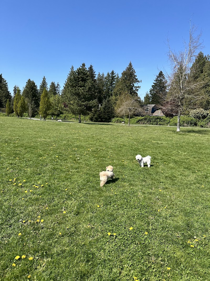Uplands Dog Off Leash Park dog park in Langley, British Columbia