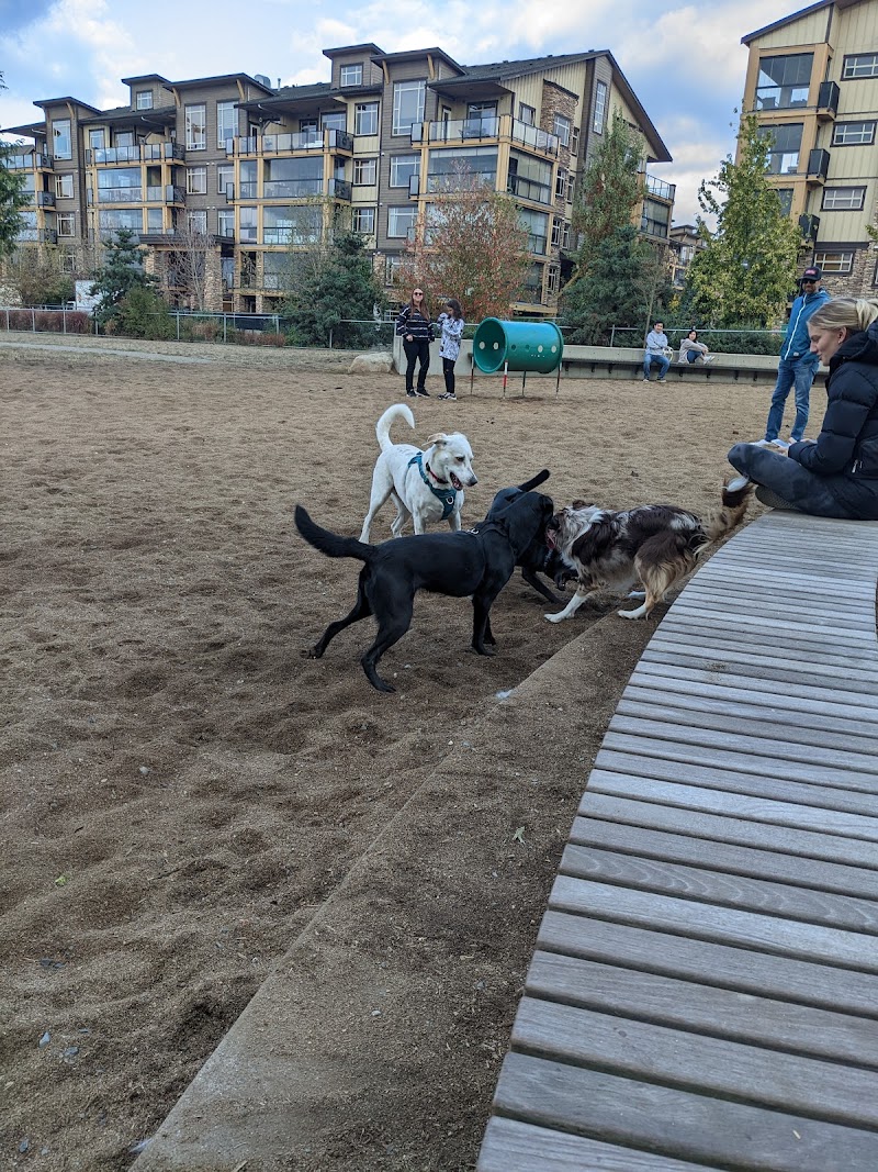 Yorkson Dog Park dog park in Langley Twp, British Columbia