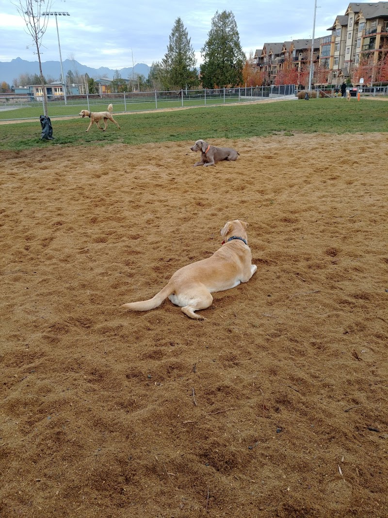 Yorkson Dog Park dog park in Langley Twp, British Columbia