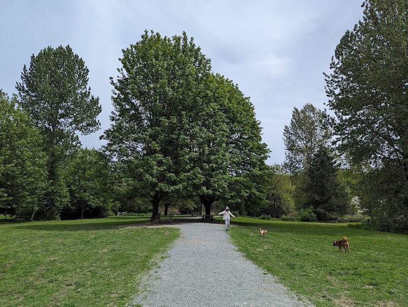 Derby Reach Regional Park - Dog Off-leash Area dog park in Langley Twp, British Columbia