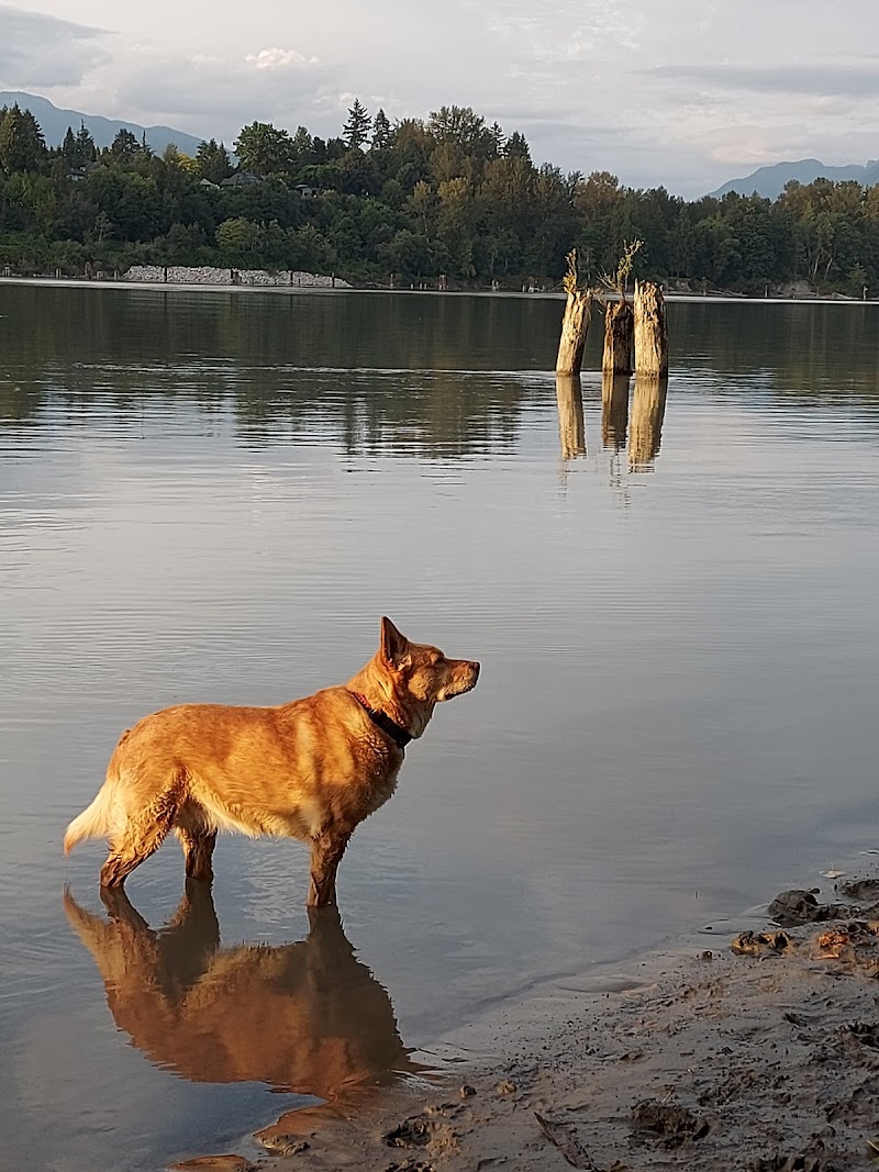 Derby Reach Regional Park - Dog Off-leash Area dog park in Langley Twp, British Columbia