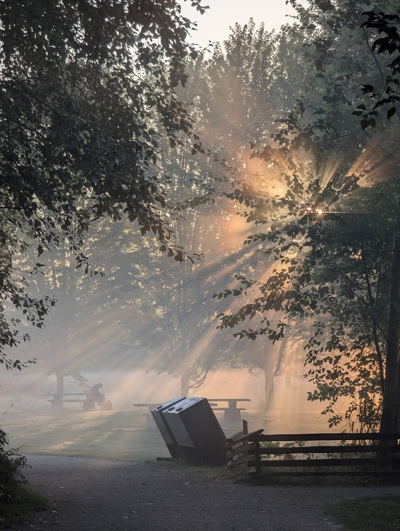 Derby Reach Regional Park - Dog Off-leash Area dog park in Langley Twp, British Columbia