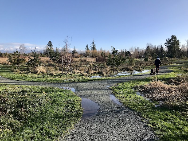Old Yale Park & Off Leash area dog park in Langley Twp, British Columbia