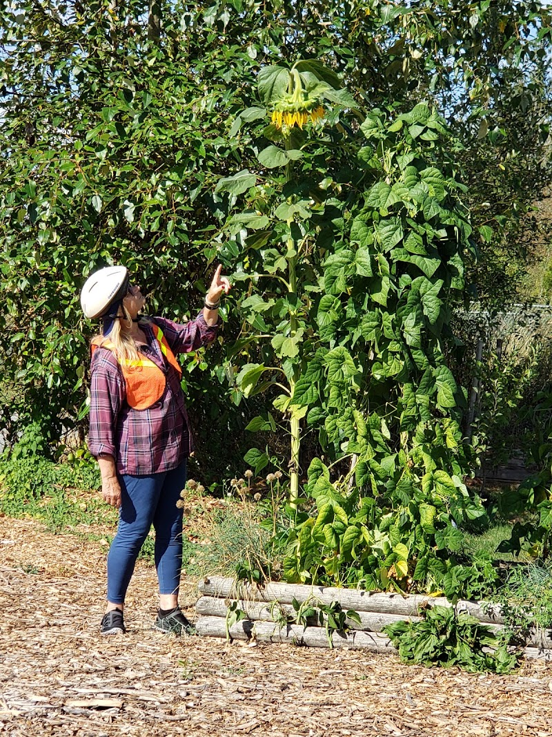 Old Yale Park & Off Leash area dog park in Langley Twp, British Columbia