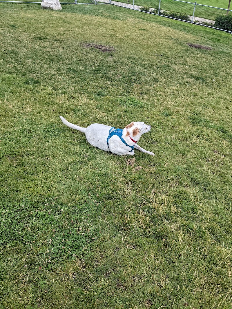Routley Off leash Dog Park dog park in Langley, British Columbia