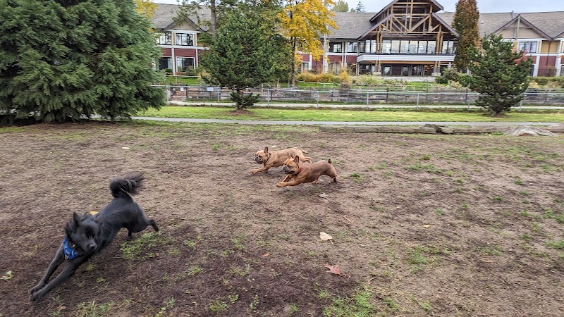 Clayton Dog Off-Leash Park dog park in Surrey, British Columbia