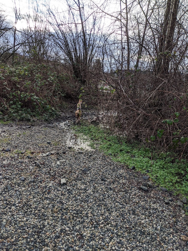 Clayton Dog Off-Leash Park dog park in Surrey, British Columbia