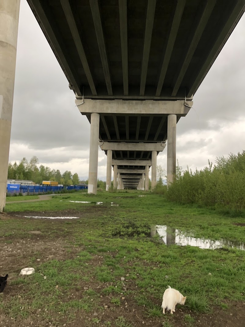 Hammond Dog Park dog park in Maple Ridge, British Columbia