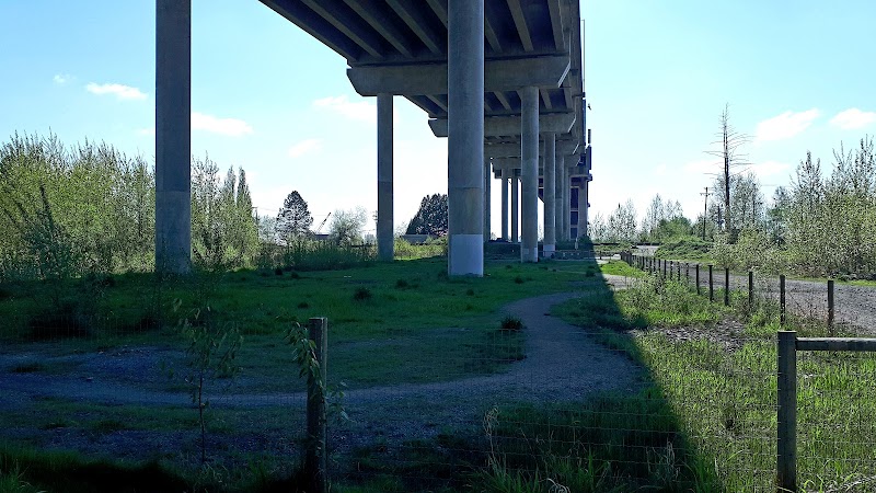 Hammond Dog Park dog park in Maple Ridge, British Columbia