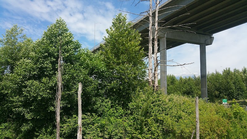 Hammond Dog Park dog park in Maple Ridge, British Columbia