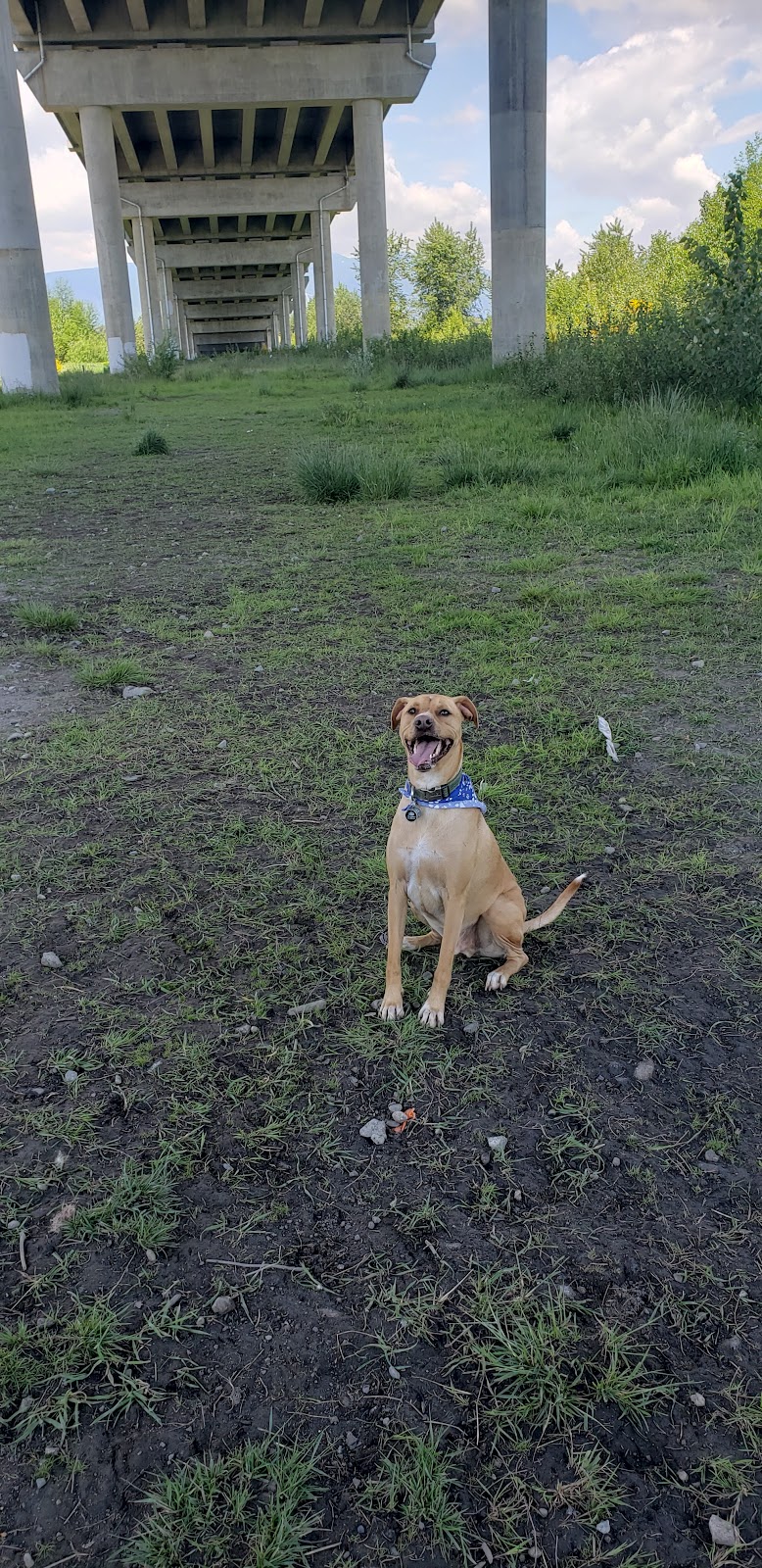 Hammond Dog Park dog park in Maple Ridge, British Columbia