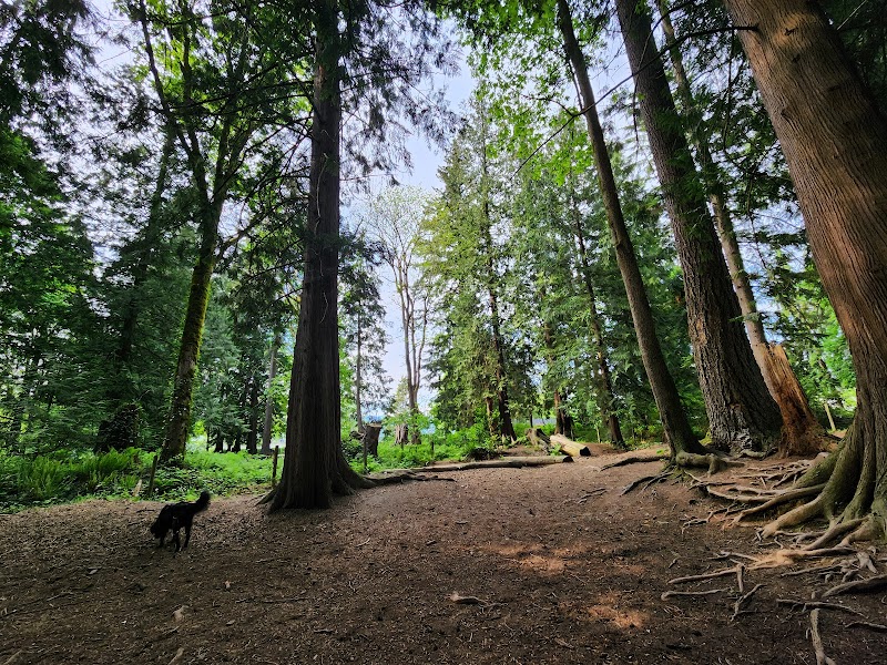 Westview Park Off-Leash Area dog park in Maple Ridge, British Columbia