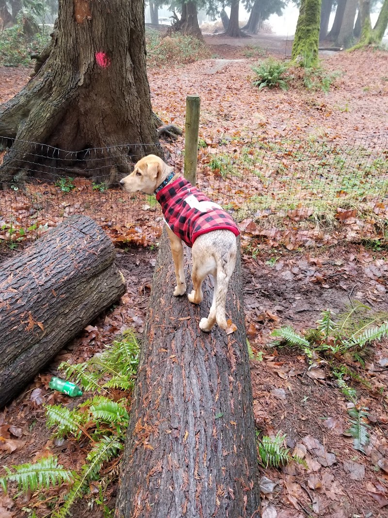 Westview Park Off-Leash Area dog park in Maple Ridge, British Columbia