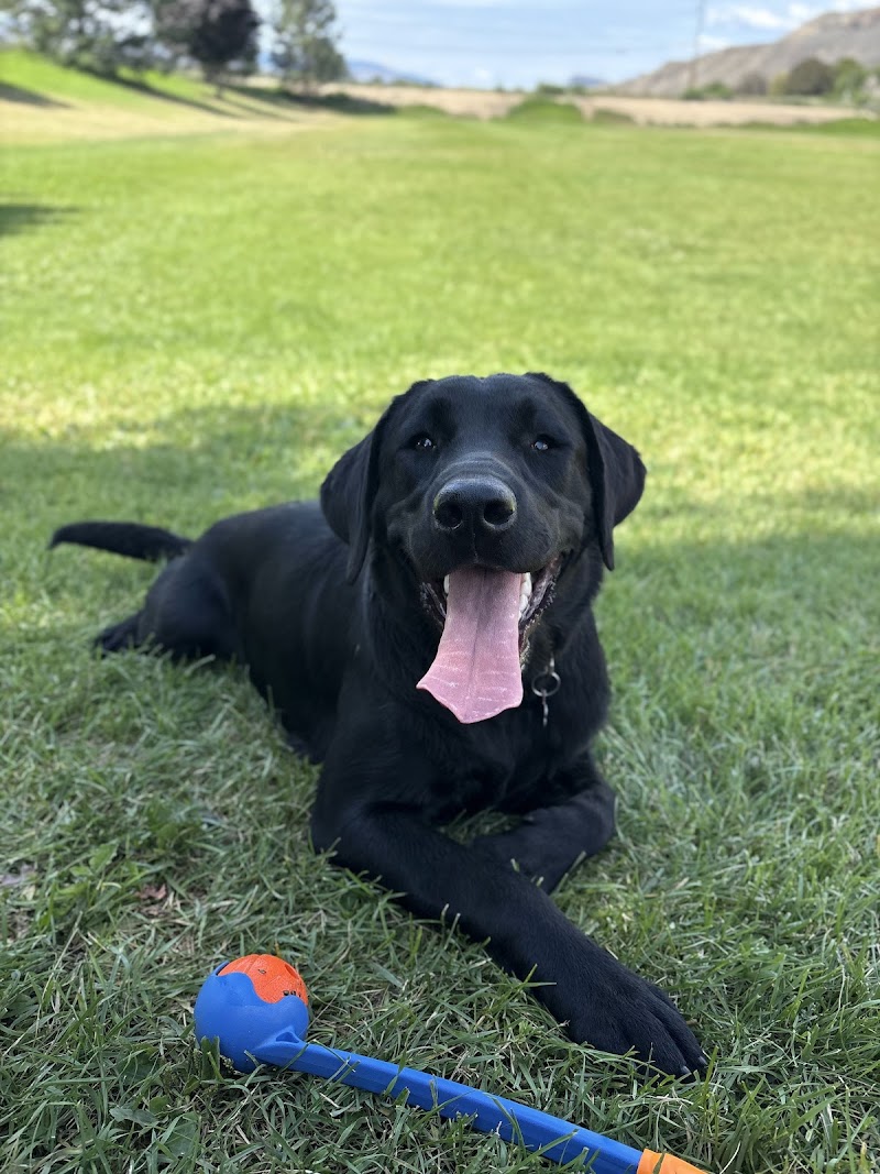 Aviation Way Dog Park dog park in Kamloops, British Columbia