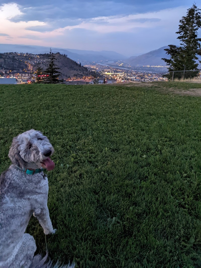 Dog park dog park in Kamloops, British Columbia