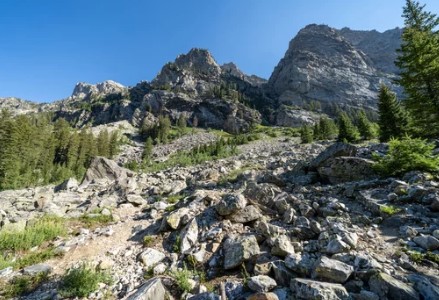 Juniper West Dog Park dog park in Kamloops, British Columbia
