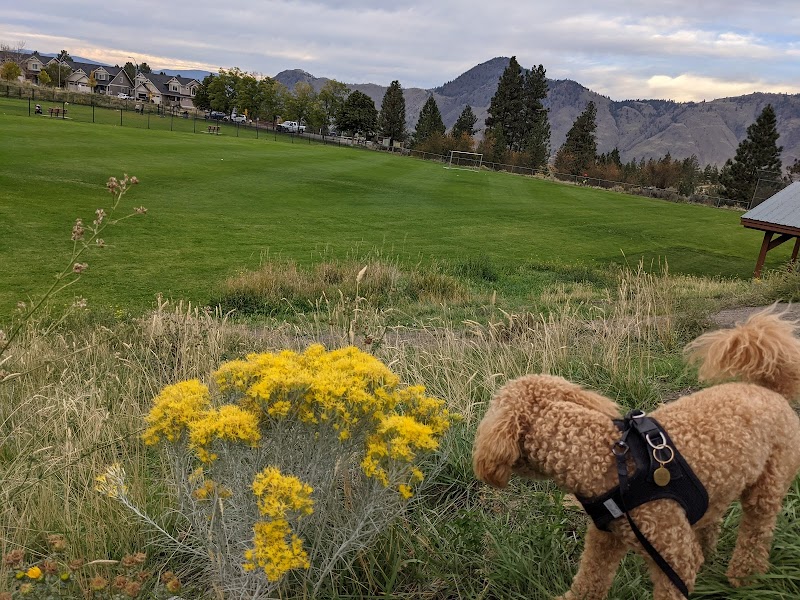 Juniper Dog Park dog park in Kamloops, British Columbia