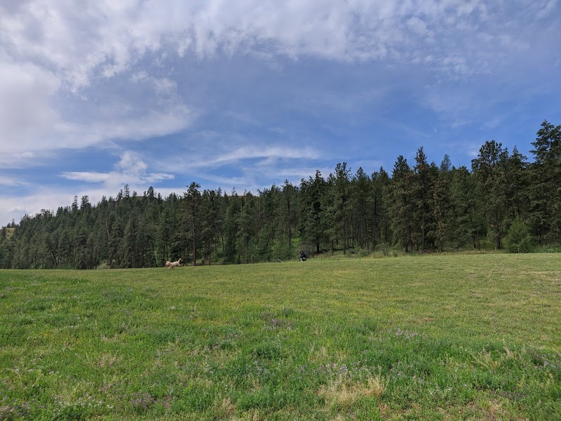 North Glenmore Dog Park dog park in Kelowna, British Columbia