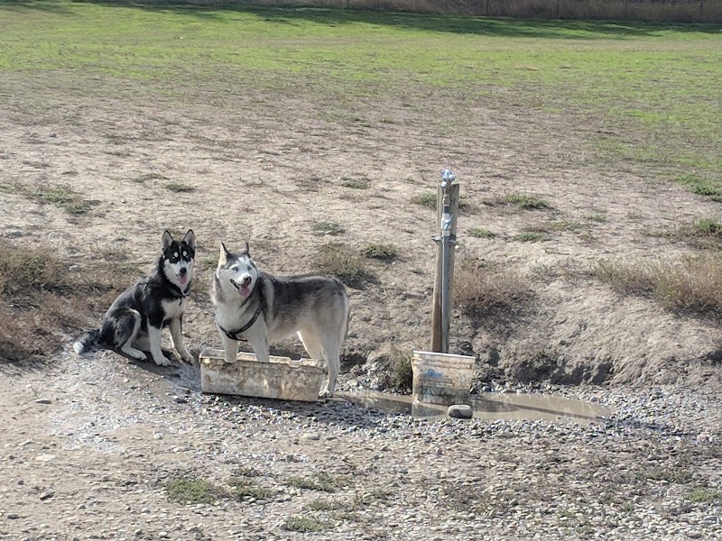 North Glenmore Dog Park dog park in Kelowna, British Columbia