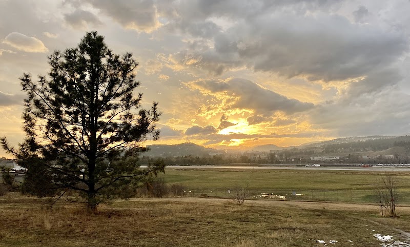 Ellison Dog Park dog park in Kelowna, British Columbia