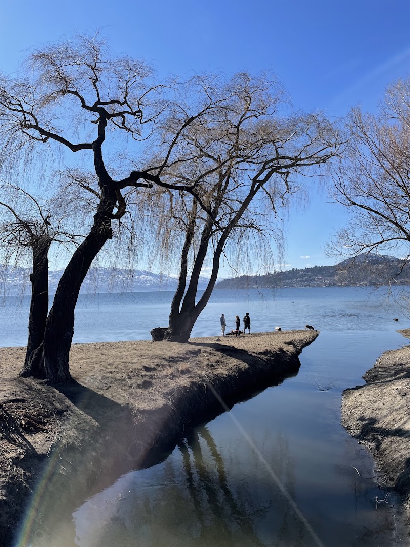 Lake Avenue Dog Off-leash Beach dog park in Kelowna, British Columbia