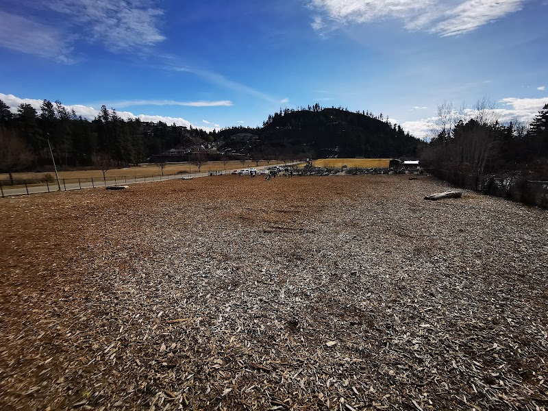 Shannon woods off leash dog park dog park in West Kelowna, British Columbia