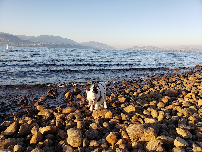 Dog beach dog park in Kelowna, British Columbia