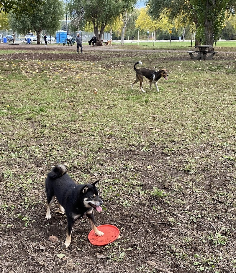 Mission Dog Park dog park in Kelowna, British Columbia