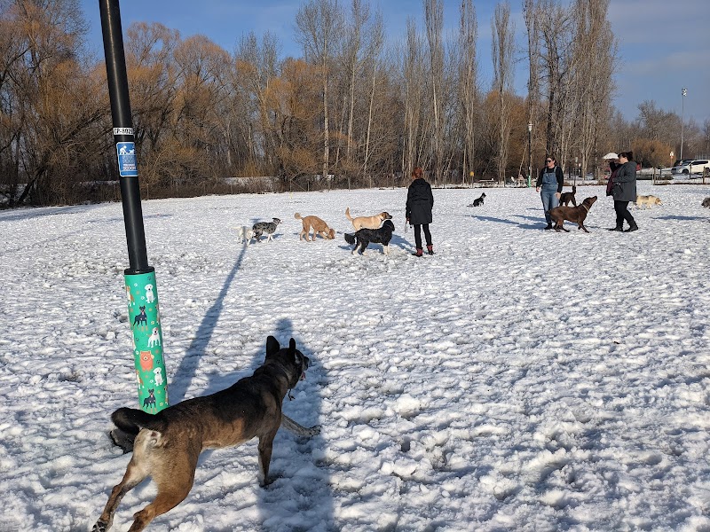 Mission Dog Park dog park in Kelowna, British Columbia