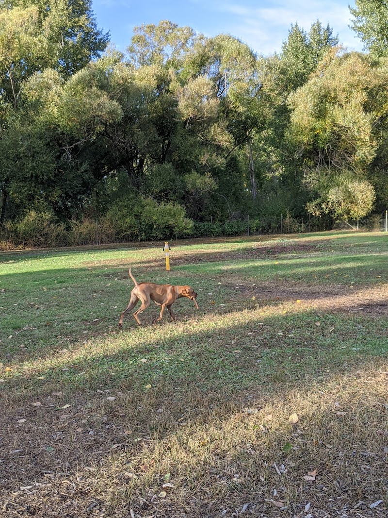 Mission Dog Park dog park in Kelowna, British Columbia