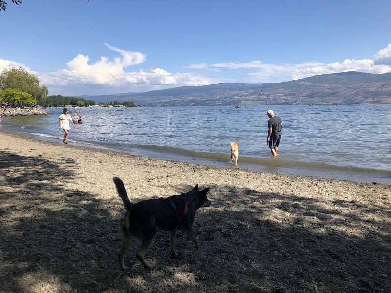 Gellatly Dog Beach dog park in West Kelowna, British Columbia