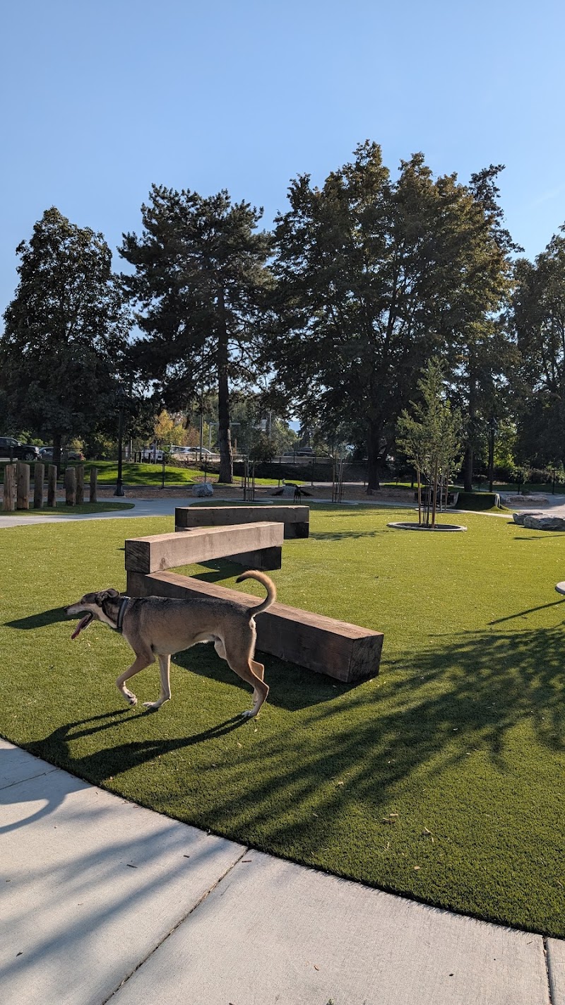 Kelowna City Beach Dog Park dog park in Kelowna, British Columbia