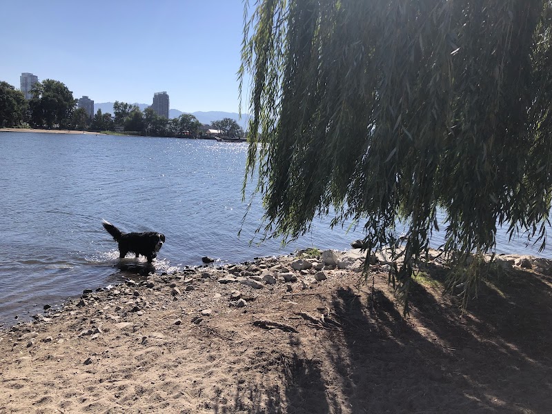 Poplar Point Dog Beach dog park in Kelowna, British Columbia