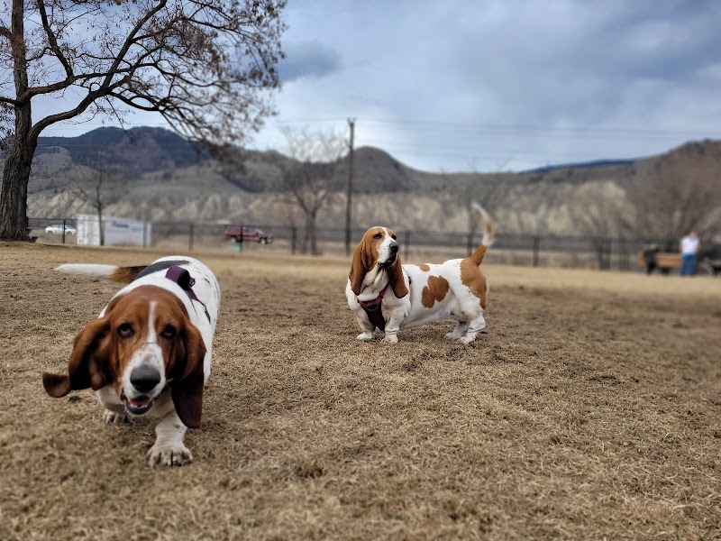 Dallas Dog Park dog park in Kamloops, British Columbia