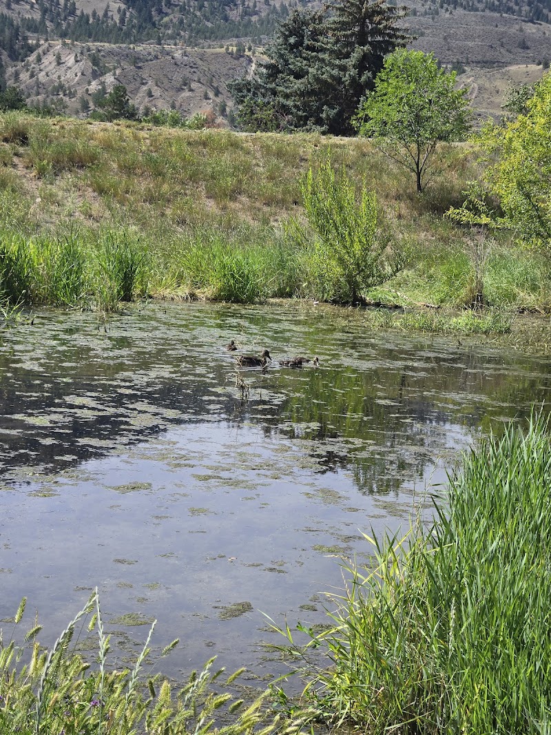 Westsyde Centennial Dog Park dog park in Kamloops, British Columbia