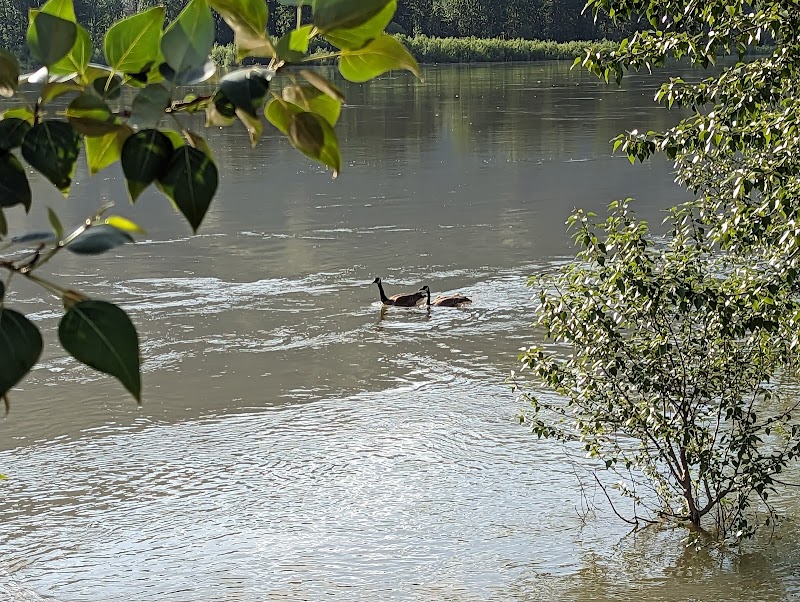 Westsyde Centennial Dog Park dog park in Kamloops, British Columbia