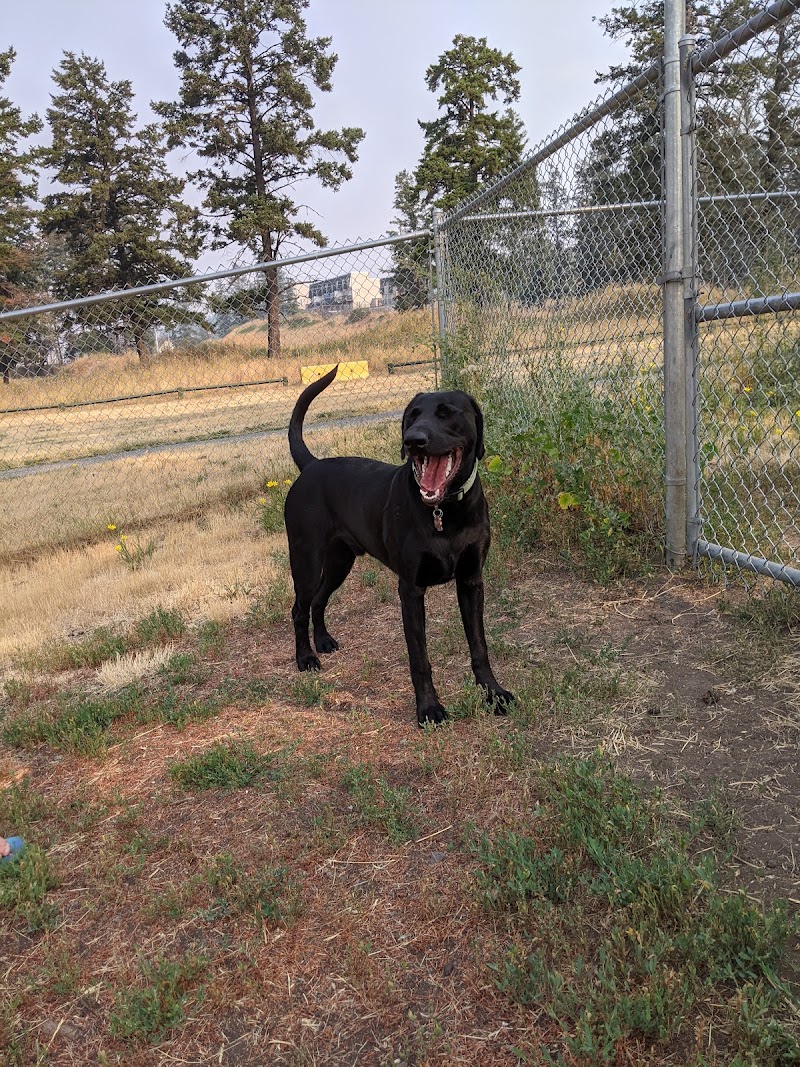 Boitanio Dog Park dog park in Williams Lake, British Columbia
