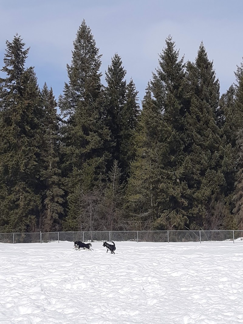 Sugarloaf Dog Park dog park in Quesnel, British Columbia