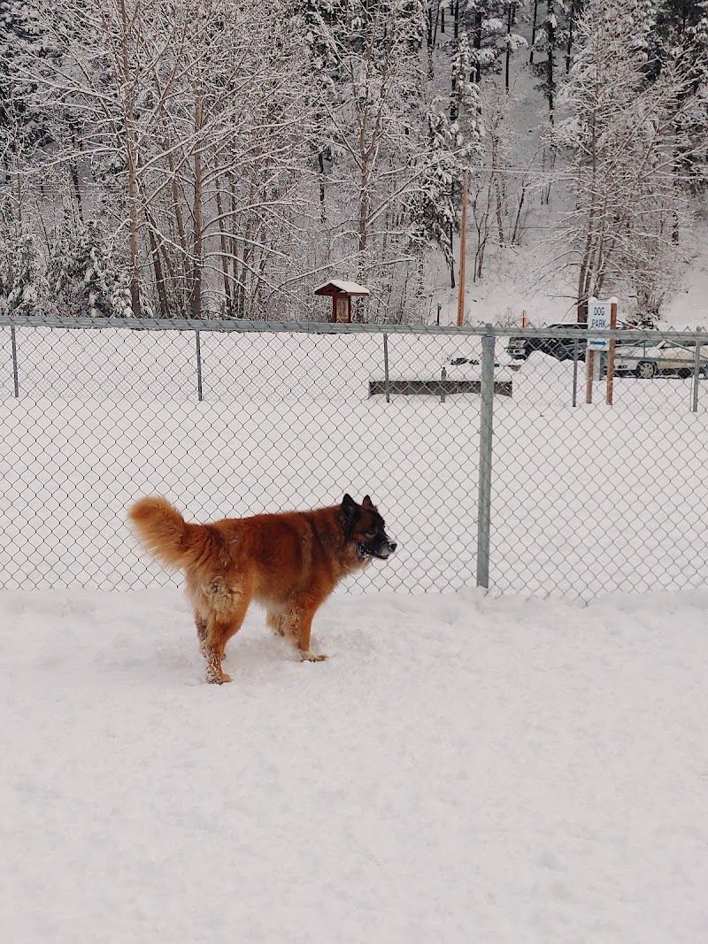 Sugarloaf Dog Park dog park in Quesnel, British Columbia
