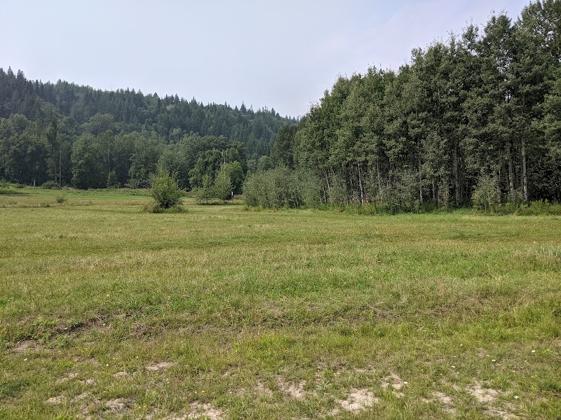 Ginter's Meadow dog park in Prince George, British Columbia