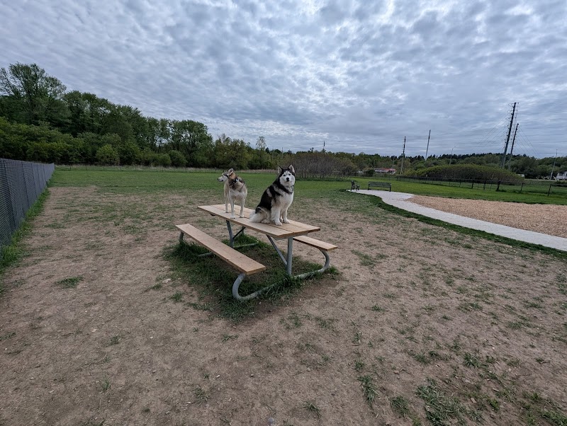 Mackenzie Valley Park Off-Leash Dog Park dog park in Vaughan, Ontario