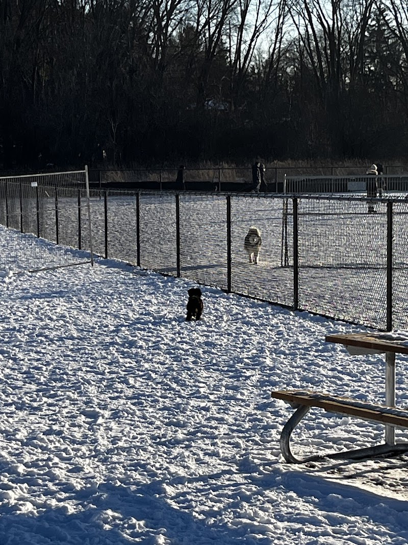 Mackenzie Valley Park Off-Leash Dog Park dog park in Vaughan, Ontario