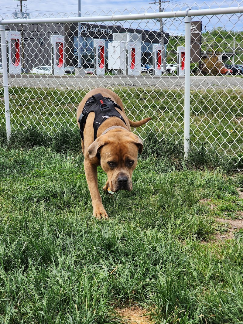 New Minas Bark Park dog park in New Minas, Nova Scotia
