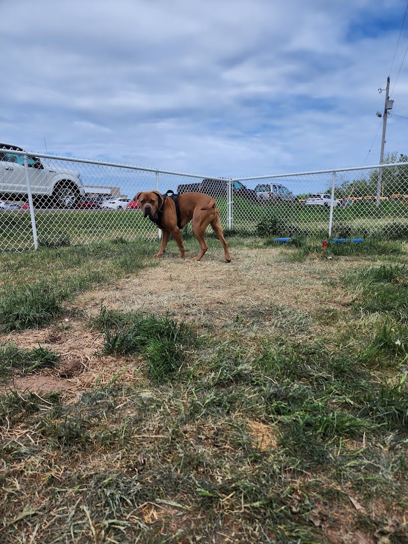 New Minas Bark Park dog park in New Minas, Nova Scotia