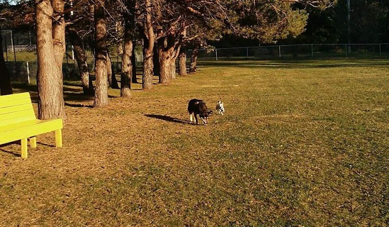 Hantsport Dog Park dog park in Hantsport, Nova Scotia
