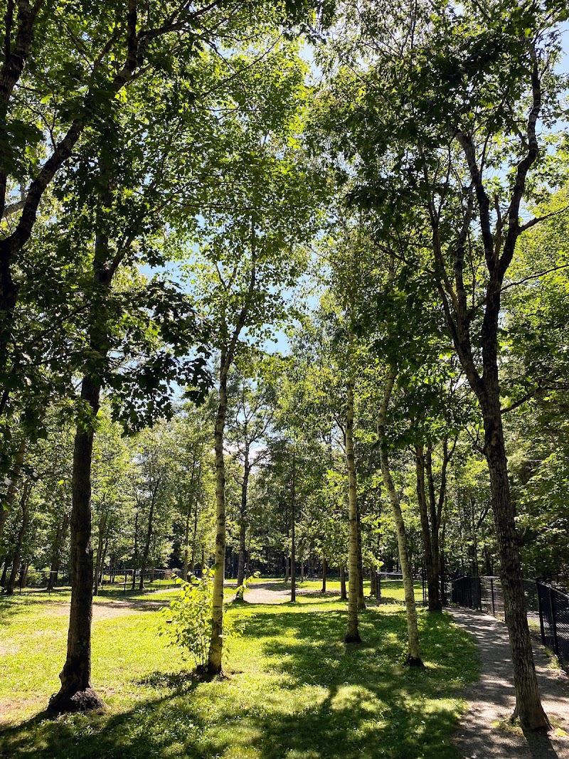 South Shore Vet Dog Park dog park in Bridgewater, Nova Scotia