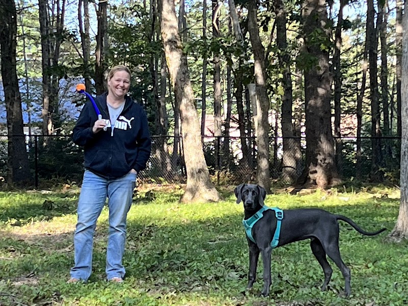 South Shore Vet Dog Park dog park in Bridgewater, Nova Scotia