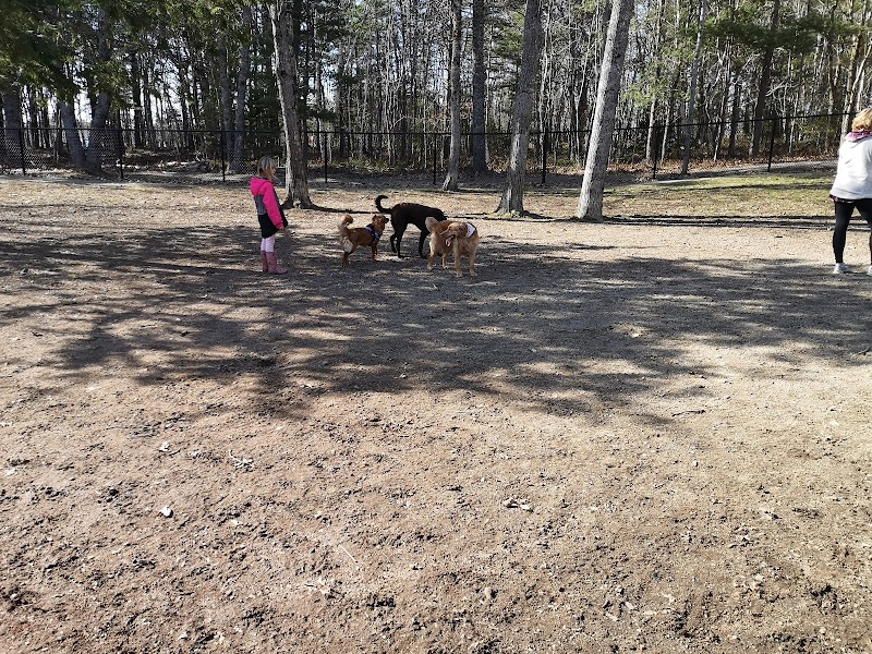 South Shore Vet Dog Park dog park in Bridgewater, Nova Scotia