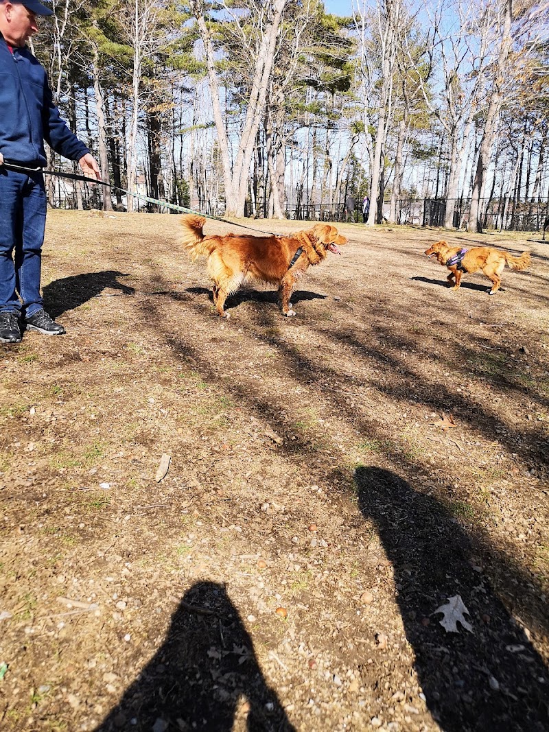 South Shore Vet Dog Park dog park in Bridgewater, Nova Scotia