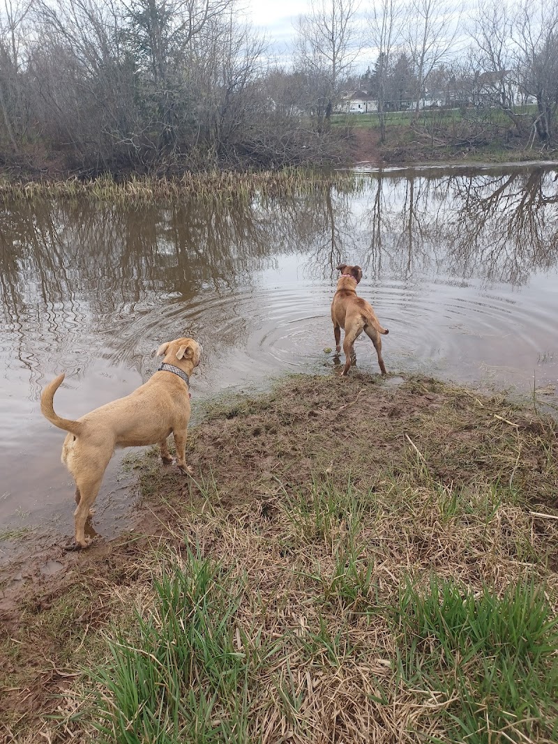 Truro - Bible Hill Off-Leash Dog Park dog park in Truro, Nova Scotia